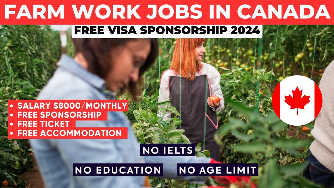 Canada Agriculture Stream For Temporary Foreign Workers (2024)