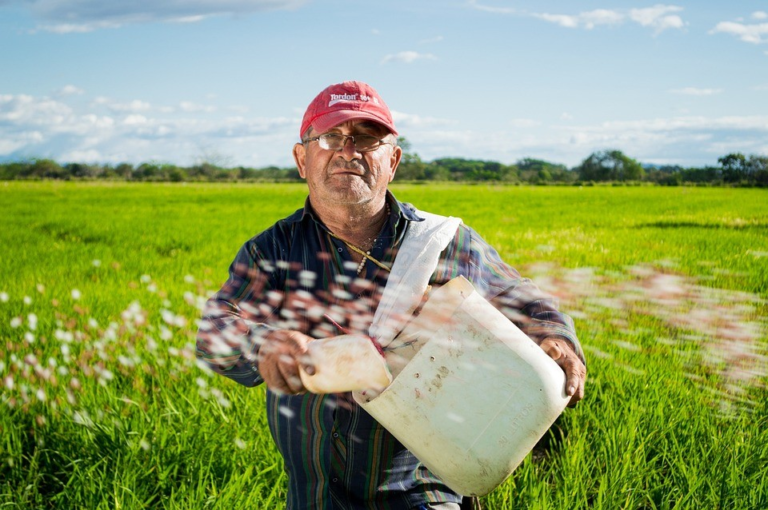 HOW TO APPLY FOR THE COUNTRYSIDE STEWARDSHIP SCHEME (CSS) IN THE UK 2024