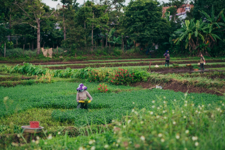 WHY THE US GOV’T IS GIVING FREE $1 MILLION TO FARMERS AND HOW TO GET YOURS